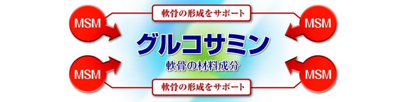 �֐ߒɂɂ����A�֐߂̌����𑱂��Ă����v������50�E60�ォ����x�����T�C�g